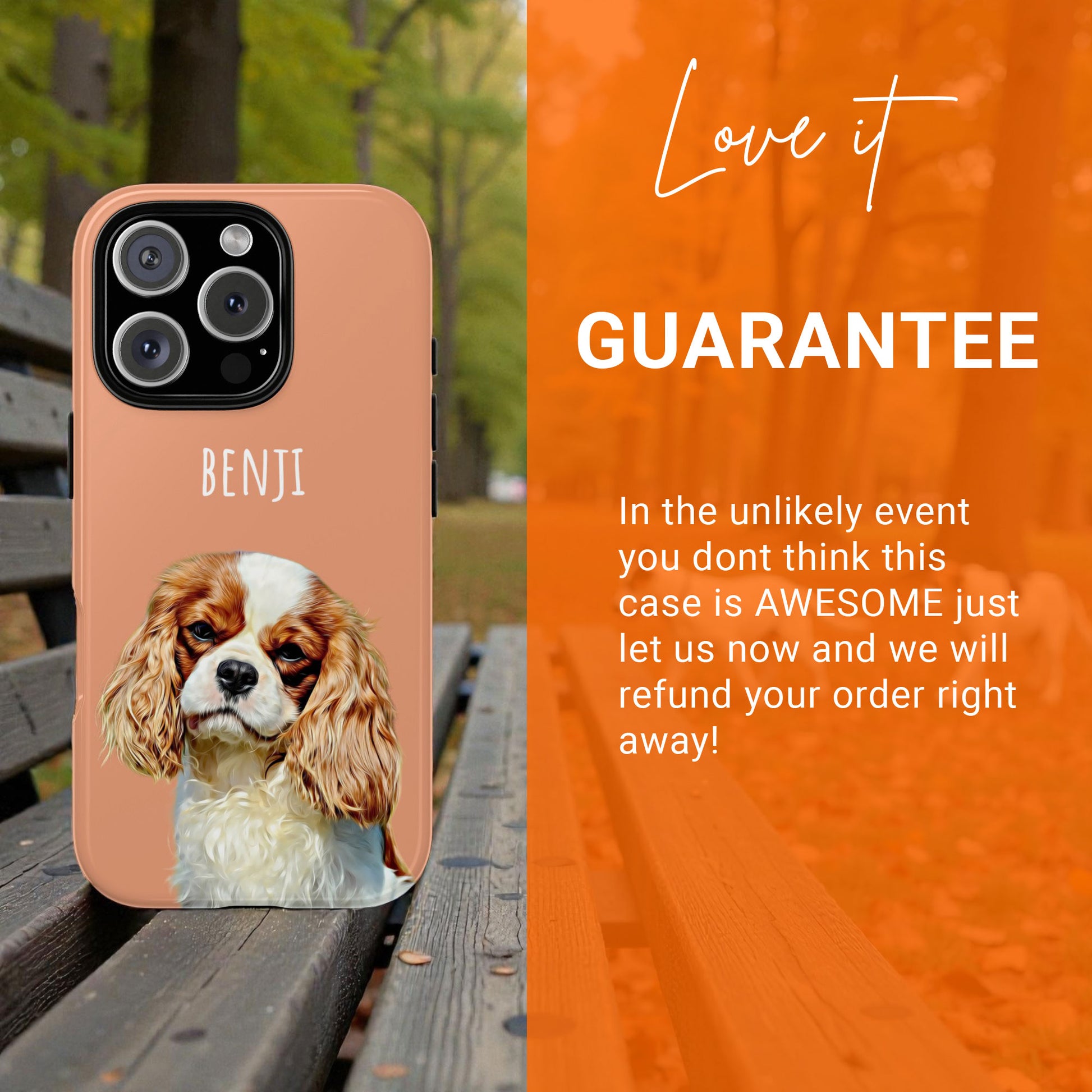 Personalised Dog Phone Case with Photo + Name Portrait for iPhone 17 16 15 14 13